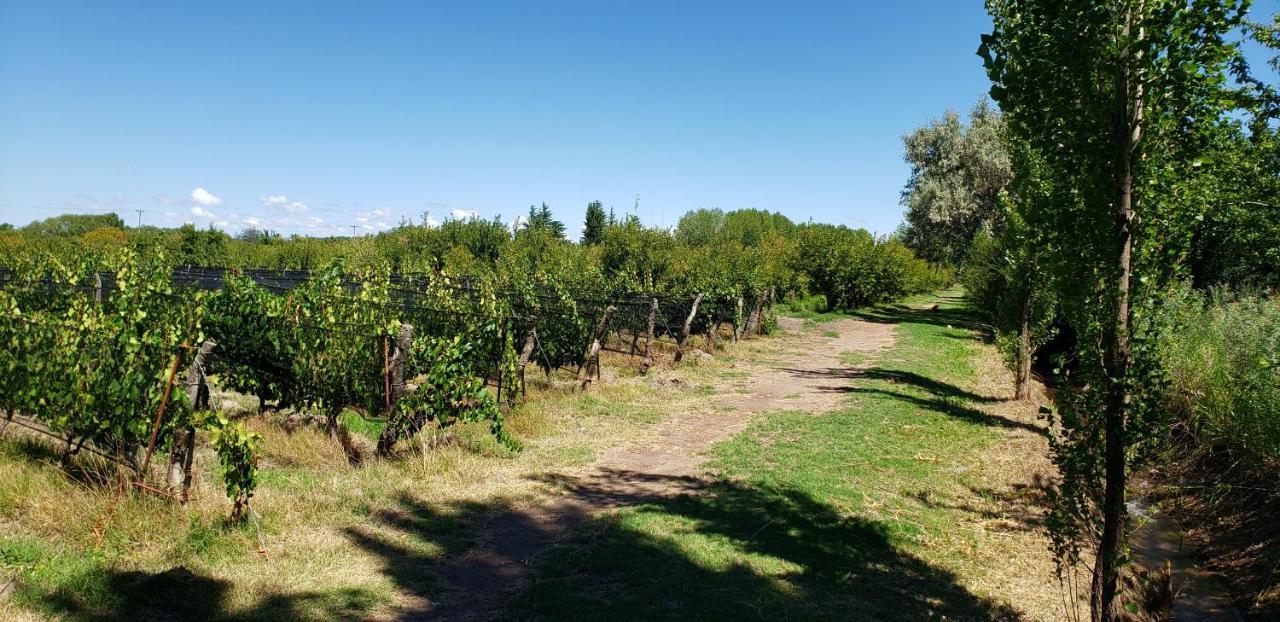 Nuestro Sueno * San Rafael (Mendoza)